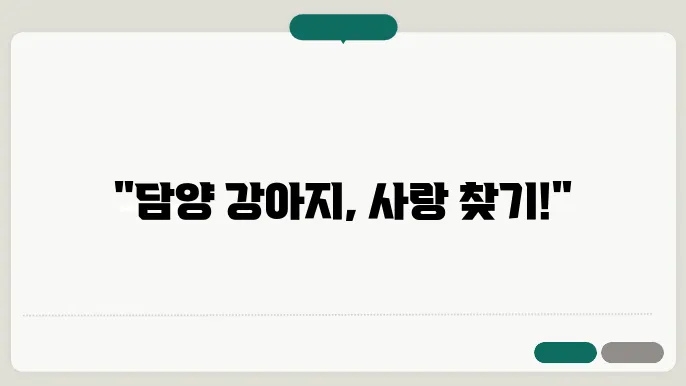 다양한 강아지들