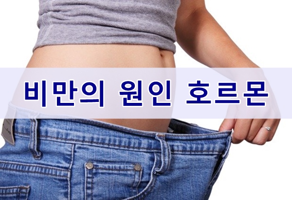  비만의 원인과 식욕억제 호르몬 "렙틴"
