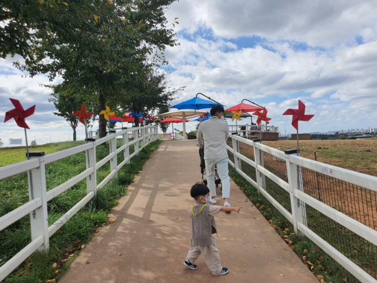 평일 입장료 할인행사 중 안성팜랜드 동물체험 핑크뮬리, 7