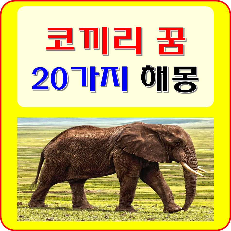 코끼리 꿈 코끼리 나오는 꿈 해몽 및 풀이