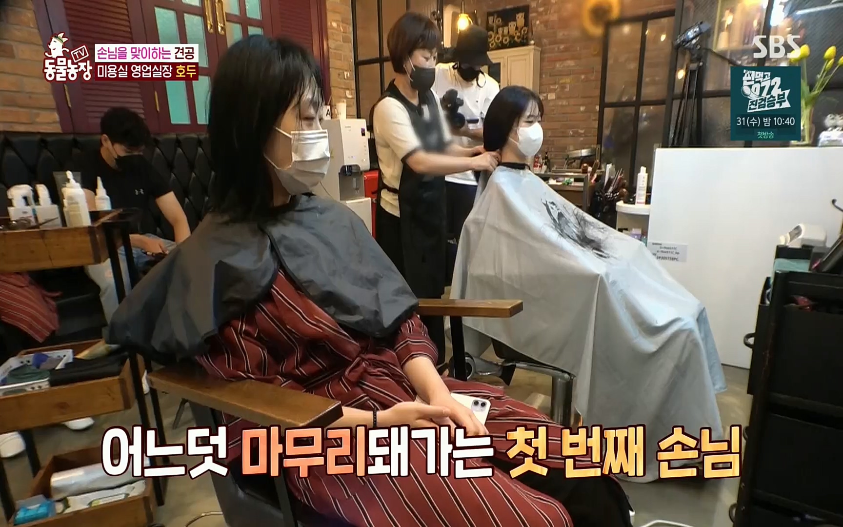 TV 동물농장.E1084.220828p.H264-F1RST.mp4_20220828_154036.993.jpg