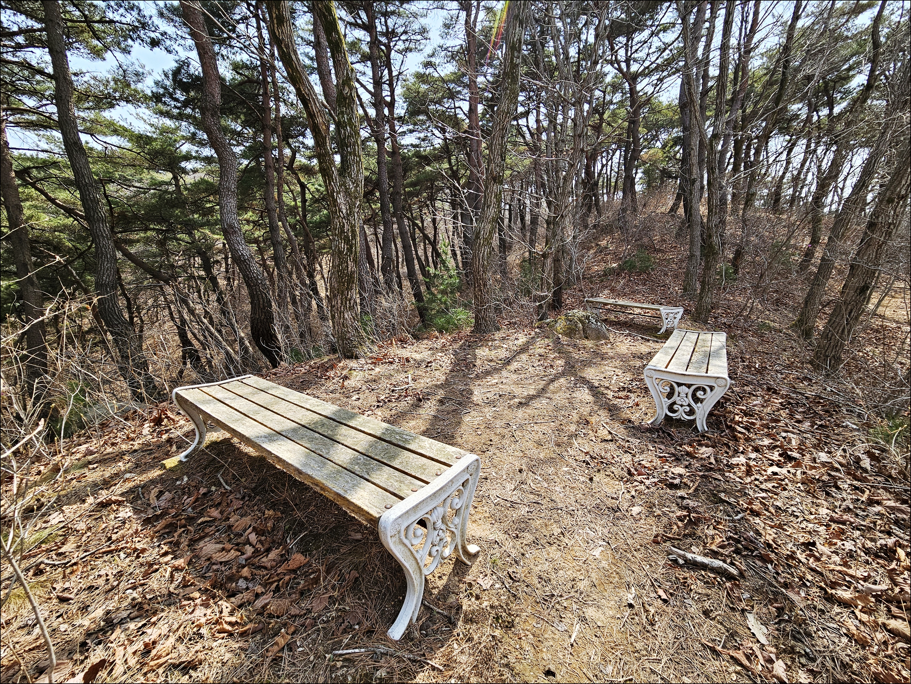 토함산자연휴양림 이미지