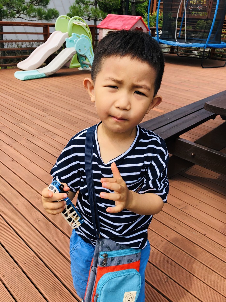 세모난나무 이미지