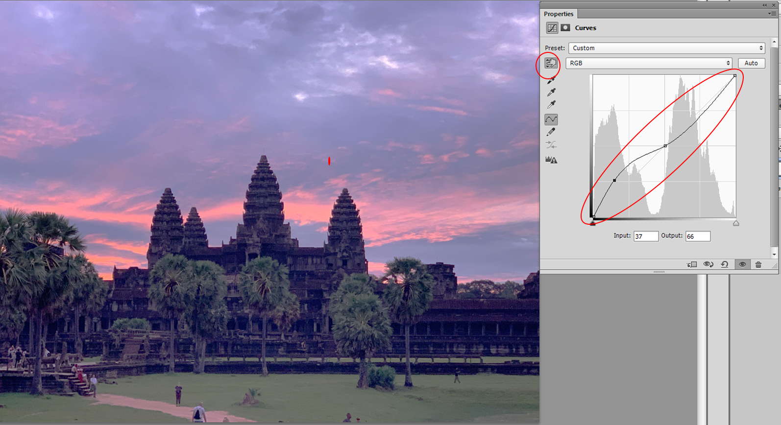 조정레이어 커브 보정