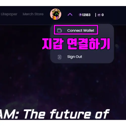 지갑연결