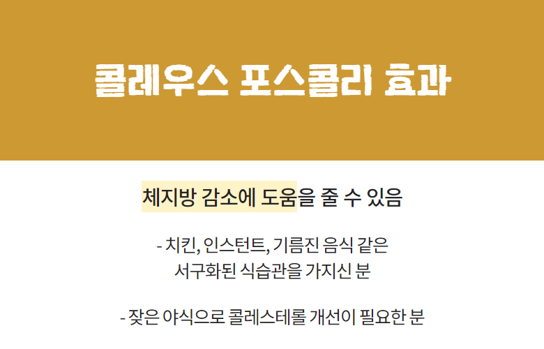 셀룰라이트까지 가능합니다. 궁둥이가 앙상함 14