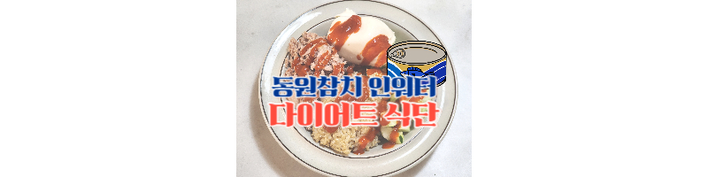 동원참치 인워터-다이어트 식단