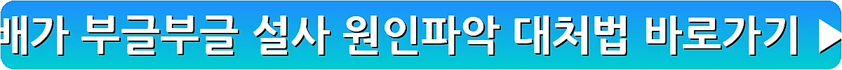 배가 부글부글 설사 원인파악 대처법_11