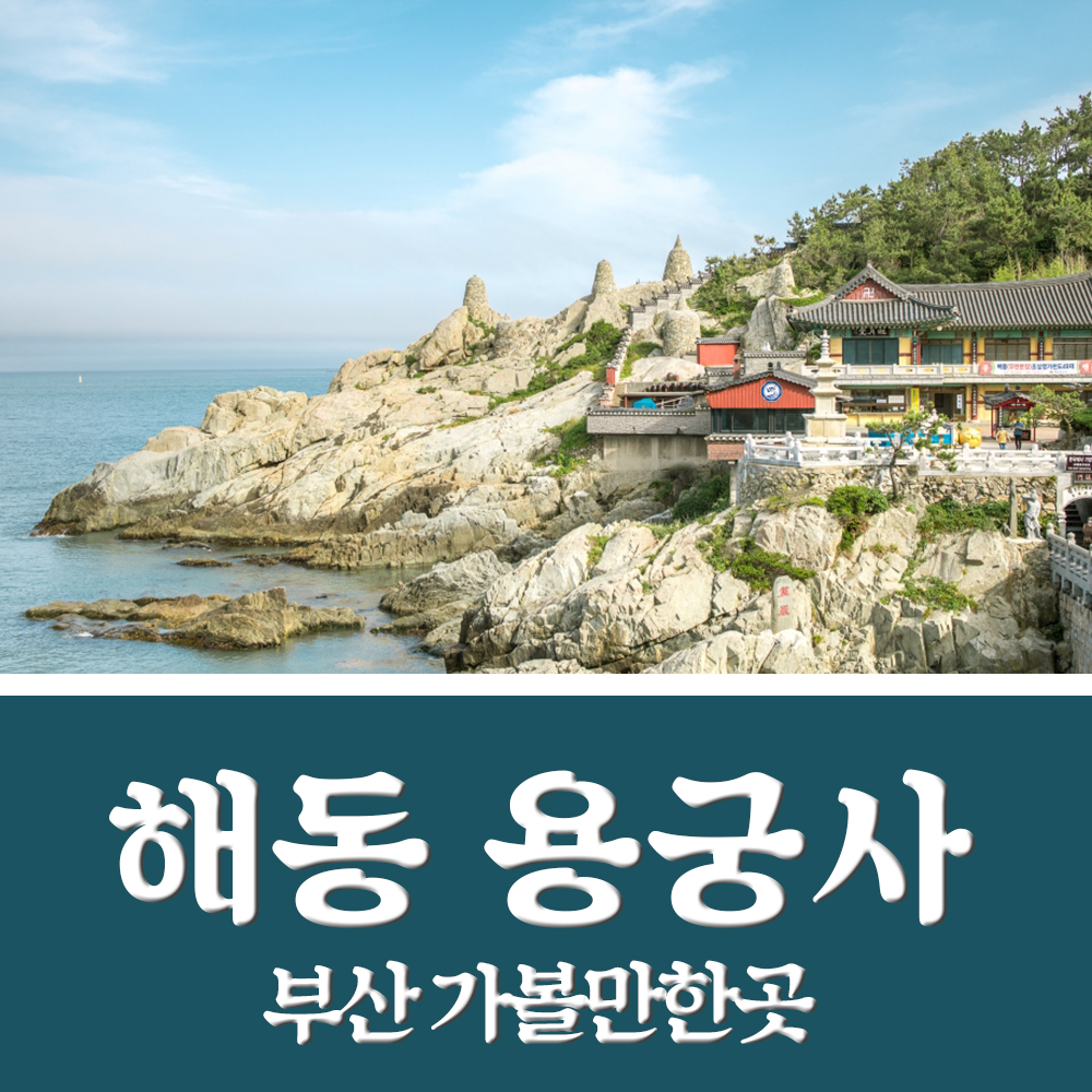  부산 해동용궁사 사진 찍기 좋은곳! +주차장 +부산맛집추천
