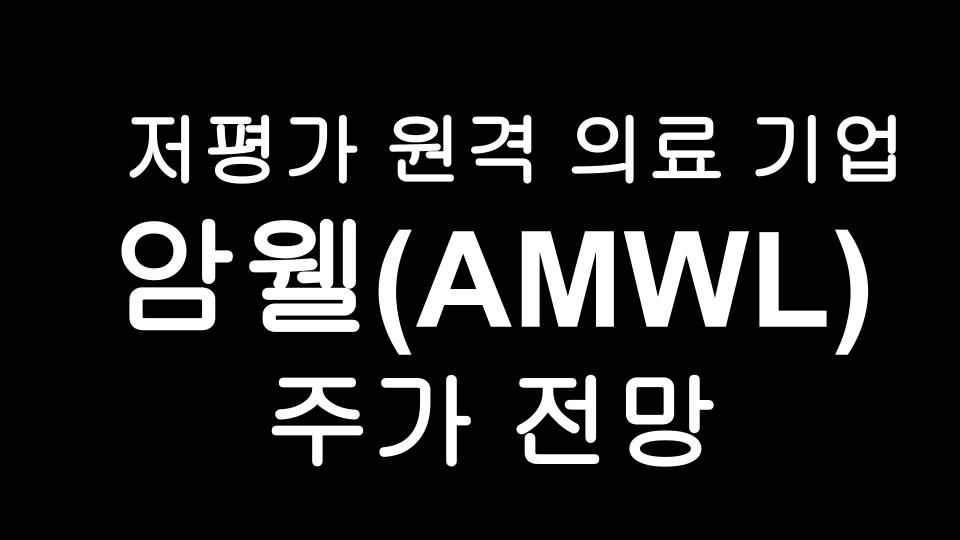  암웰(AMWL) 주가 전망 - 저평가 주식 아메리칸 웰 American Well