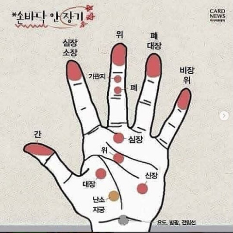  손가락 지압, 손가락 안 장기들