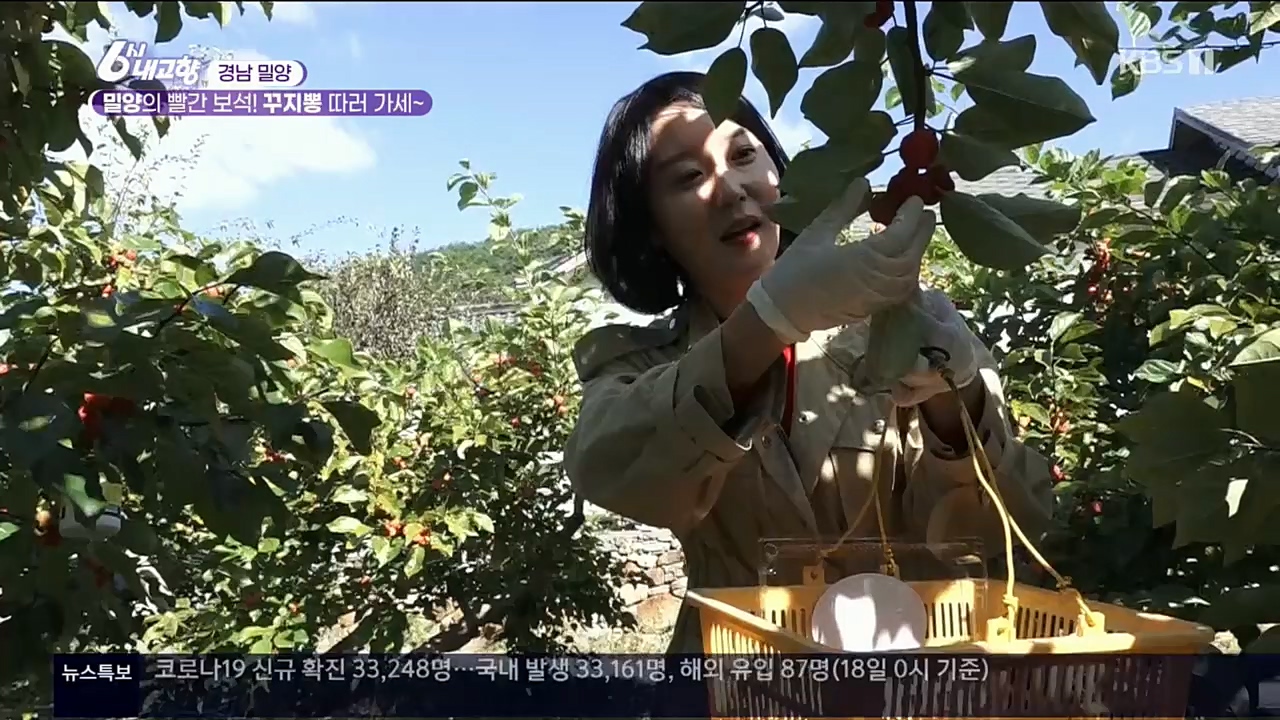 6시 내고향.E7640.221019p.H264-F1RST.mp4_20221020_170054.975.jpg