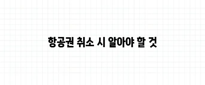 항공권 취소 수수료, 소비자 권리 보호 기준은?