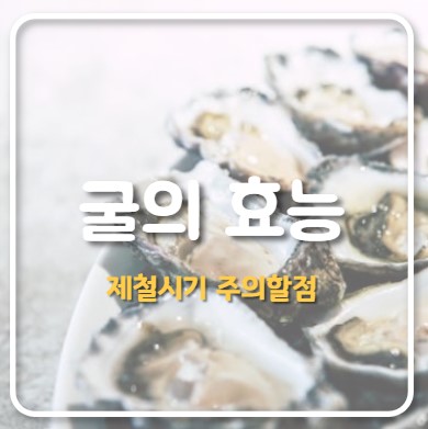 굴의 효능 및 제철 시기, 주의할 점