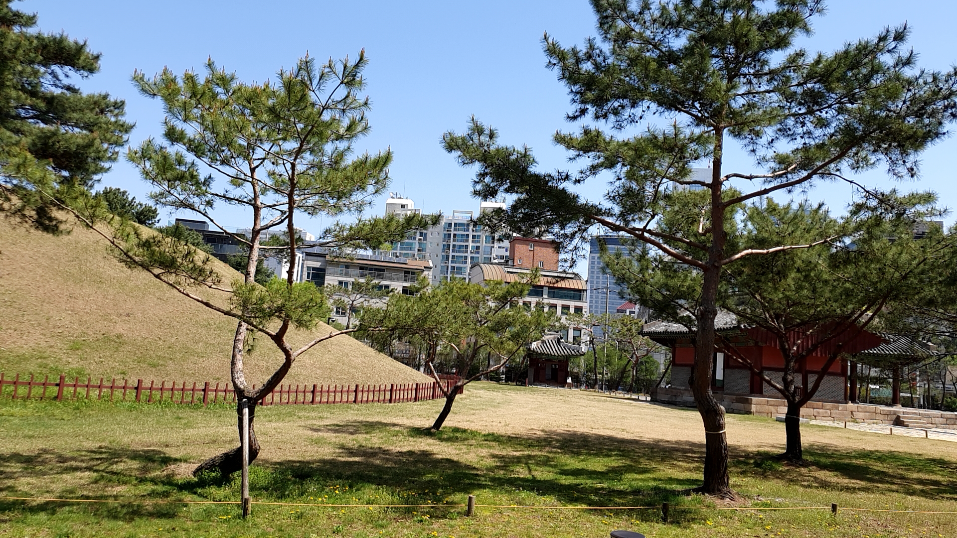  선릉 산책~