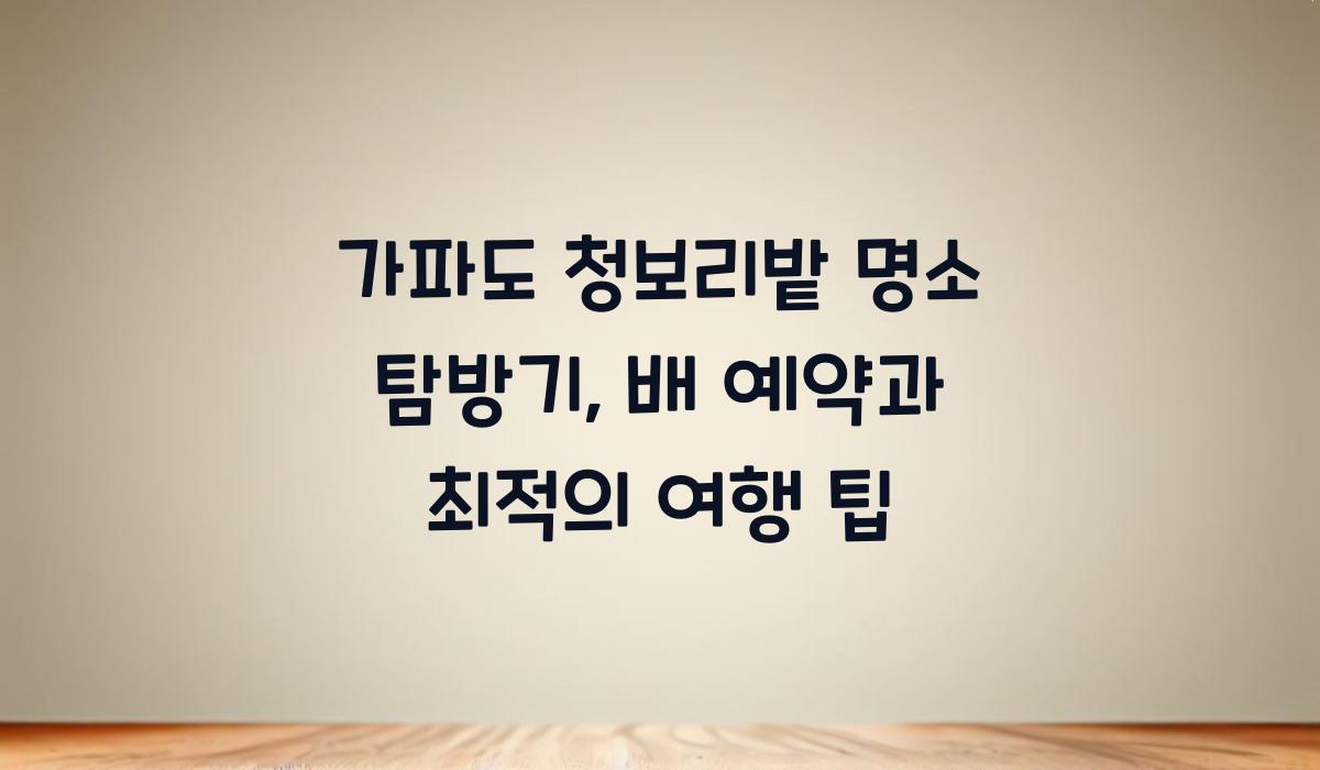 가파도 청보리밭 명소