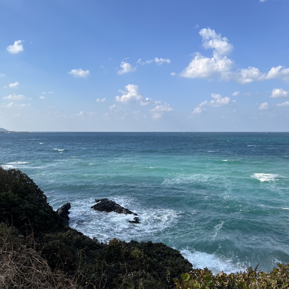 옥편 제주 고사리 육개장 맛집 9