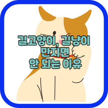 길고양이&#44; 길냥이 만지면 안 되는 이유