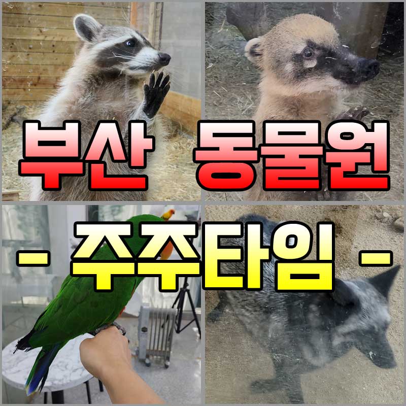 부산-실내-동물원-주주타임