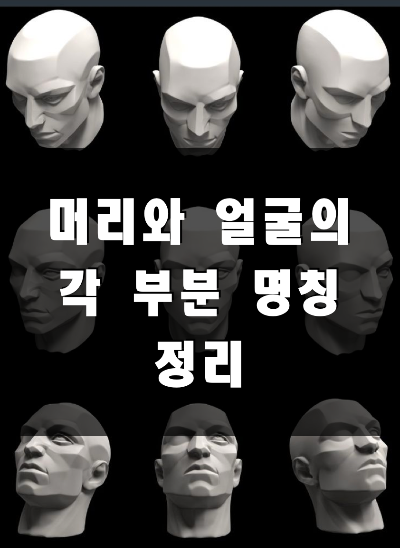  [신체부위 명칭] 얼굴의 각 부분 명칭 (영어명칭 포함)