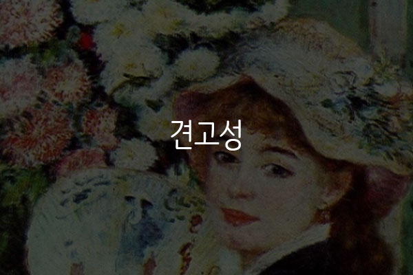  견고성
