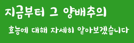 지금부터 그 양배추의 효능에 대해 자세히 알아보겠습니다