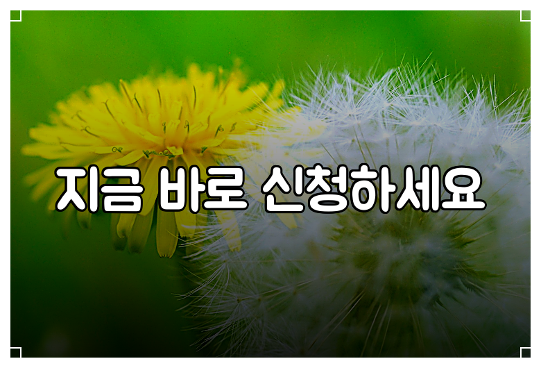 지금 바로 신청하세요