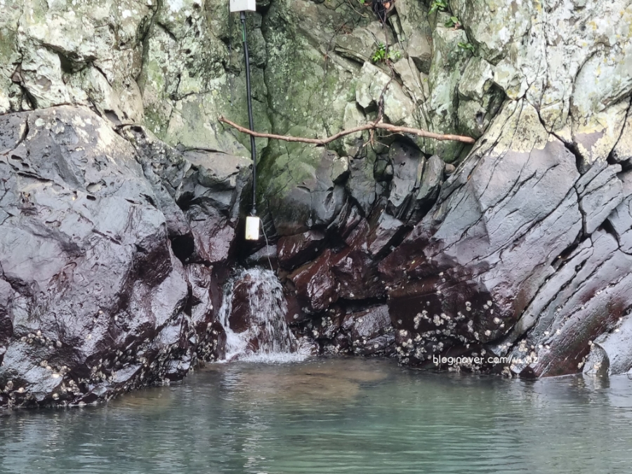 함께라면 전통테우 탑승 후기 제주 쇠소깍 어린 아이들과 48