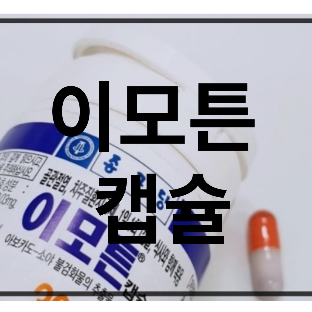  이모튼캡슐 가격 효능 총정리