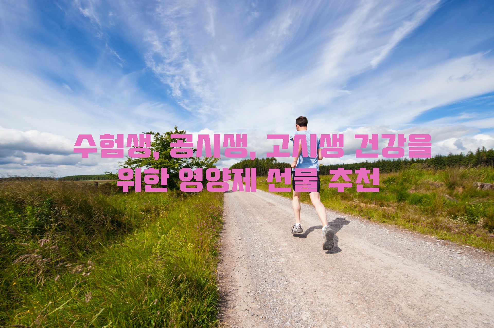  공시생, 고시생, 수험생 건강을 위한 선물 추천 [영양제]