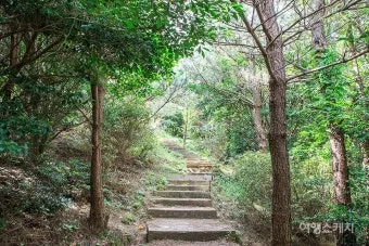 출렁이는 숲의 전설 미스터리_9