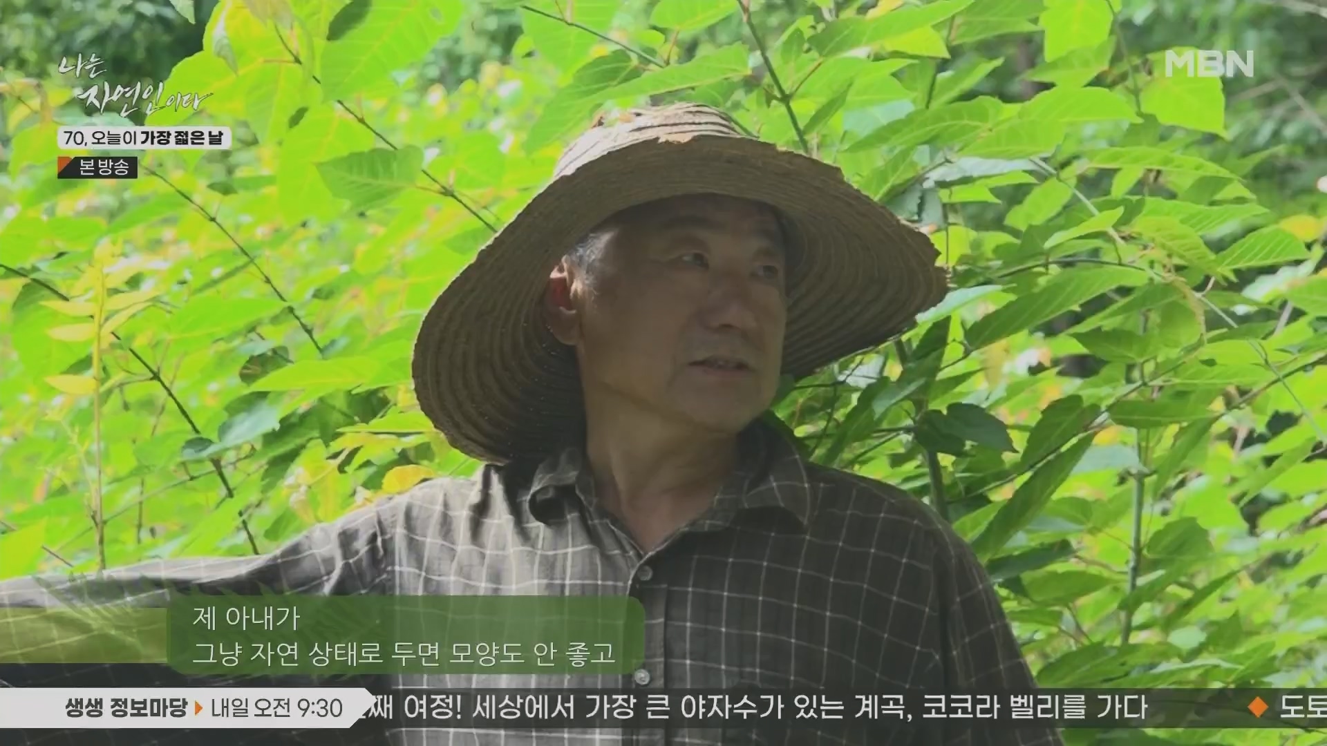 나는 자연인이다.E565.230802p.H264-F1RST.mp4_20230803_203354.188.jpg