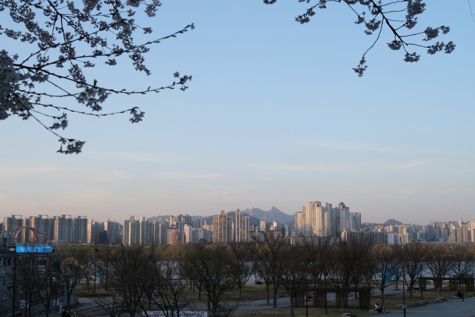 화요일엔화악 칼퇴하고 윤중로 산책.. 여의도윤중로 밤벚꽃구경.. 벚꽃만개.. 9