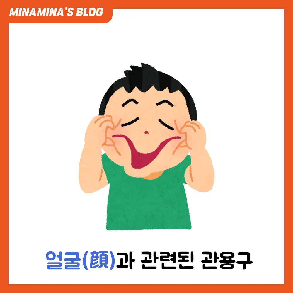 일본어 얼굴 관용구 모음