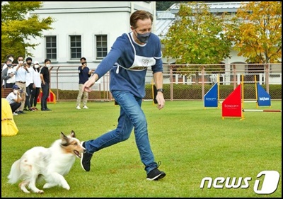  반려견 목줄 2m 안하면 과태료
