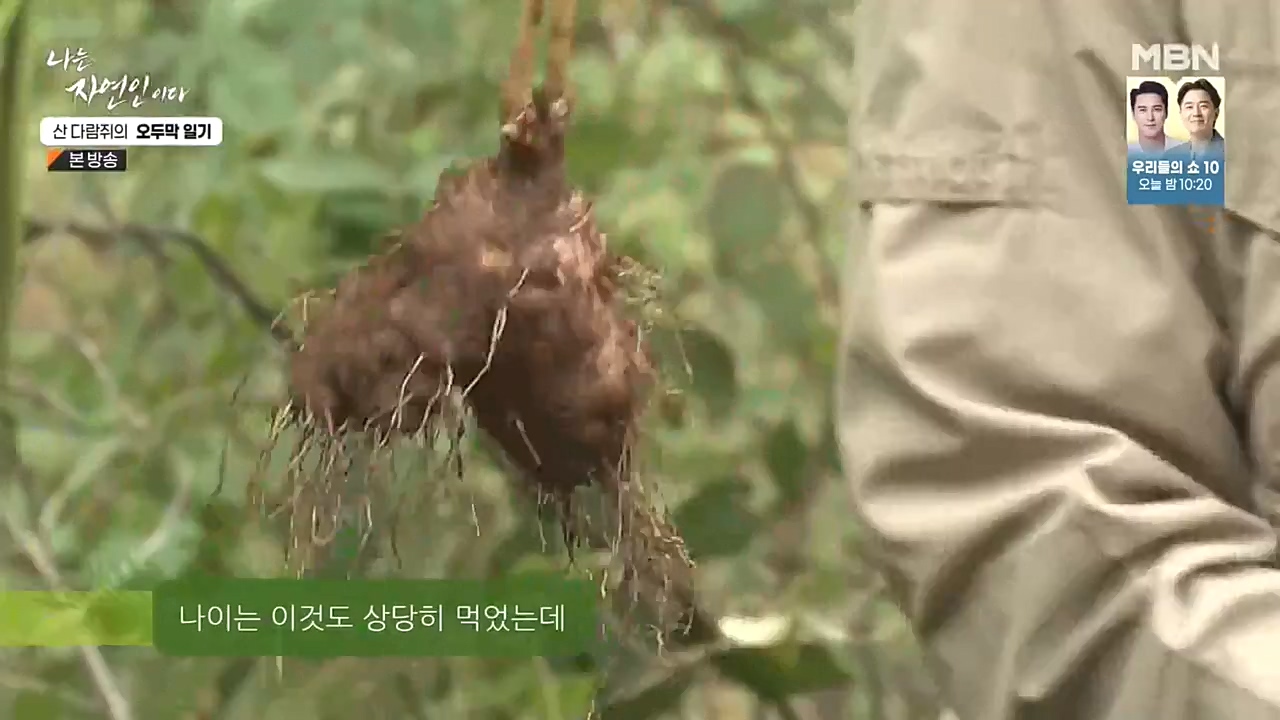 나는 자연인이다.E525.221027p-NEXT.mp4_20221027_192748.998.jpg