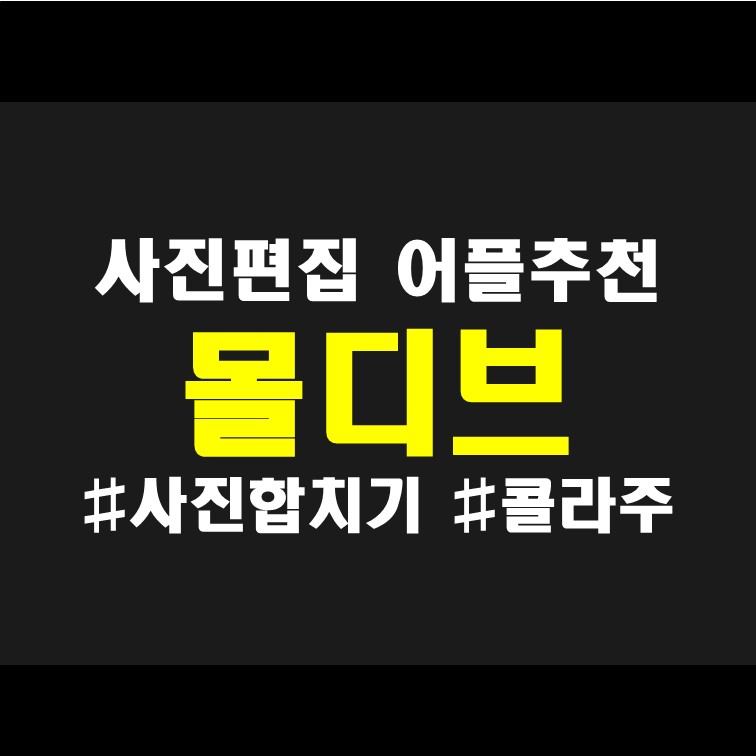  사진 콜라주 어플 '몰디브 MOLDIV ' 사진 합치기 어플 사용 리뷰