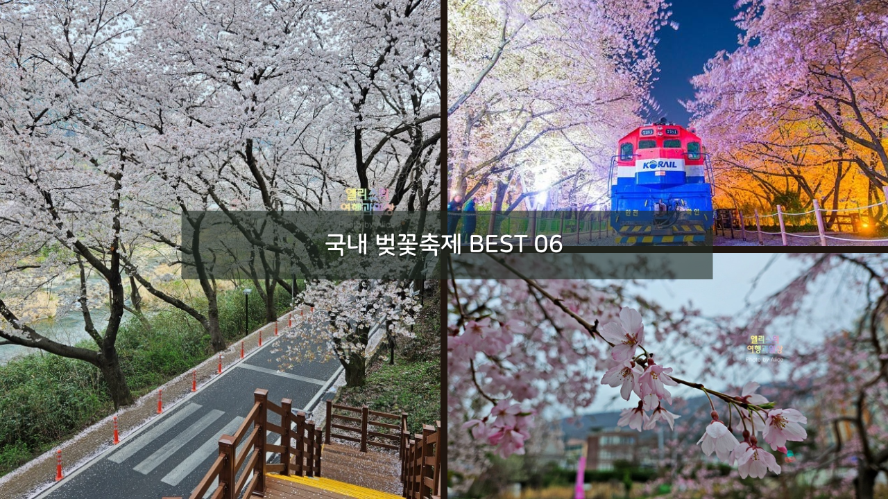 국내 벚꽃축제 BEST 06 2024 벚꽃 개화시기 정리