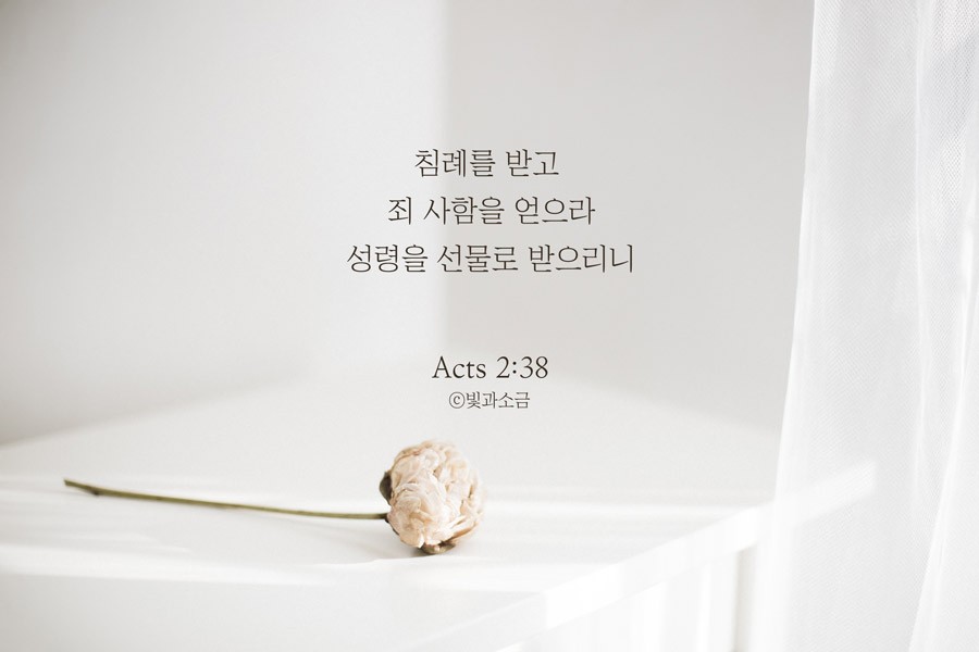 옹글다 이미지