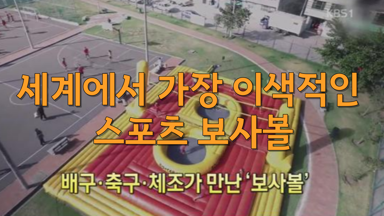  세계에서 가장 이색적인 스포츠 궁극의 퓨전 스포츠 보사볼을 아시나요?