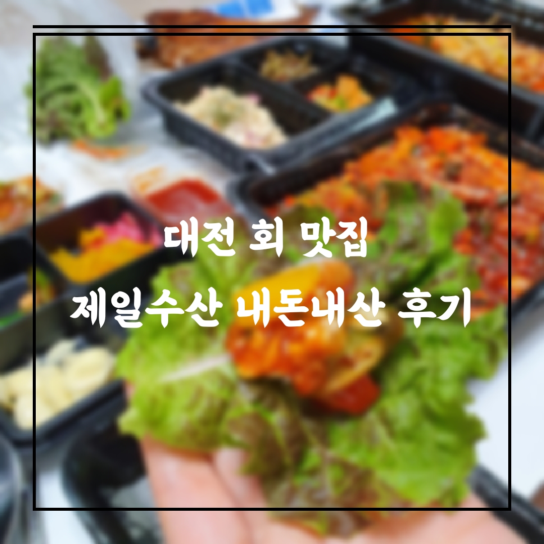 (Made in Korea) 대전 최고의 반려견 미용실 '금비펫살롱' 10년 단골 4