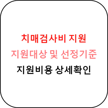 치매검사비_지원_상세내용