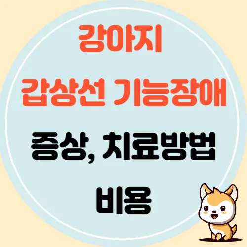 강아지 갑상선 기능 장애: 증상, 원인, 치료 방법 및 비용