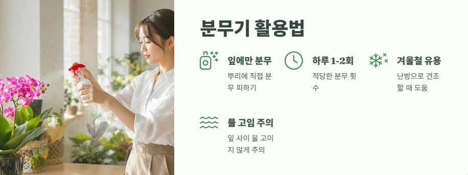 호접란 물주는 방법 7