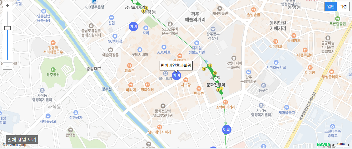 광주 일요일 진료 이비인후과 반이비인후과의원