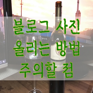  블로그 사진 올리는 방법 주의할 점