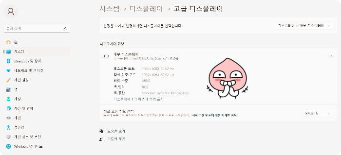 디스플레이 설정에서 그래픽 카드 확인