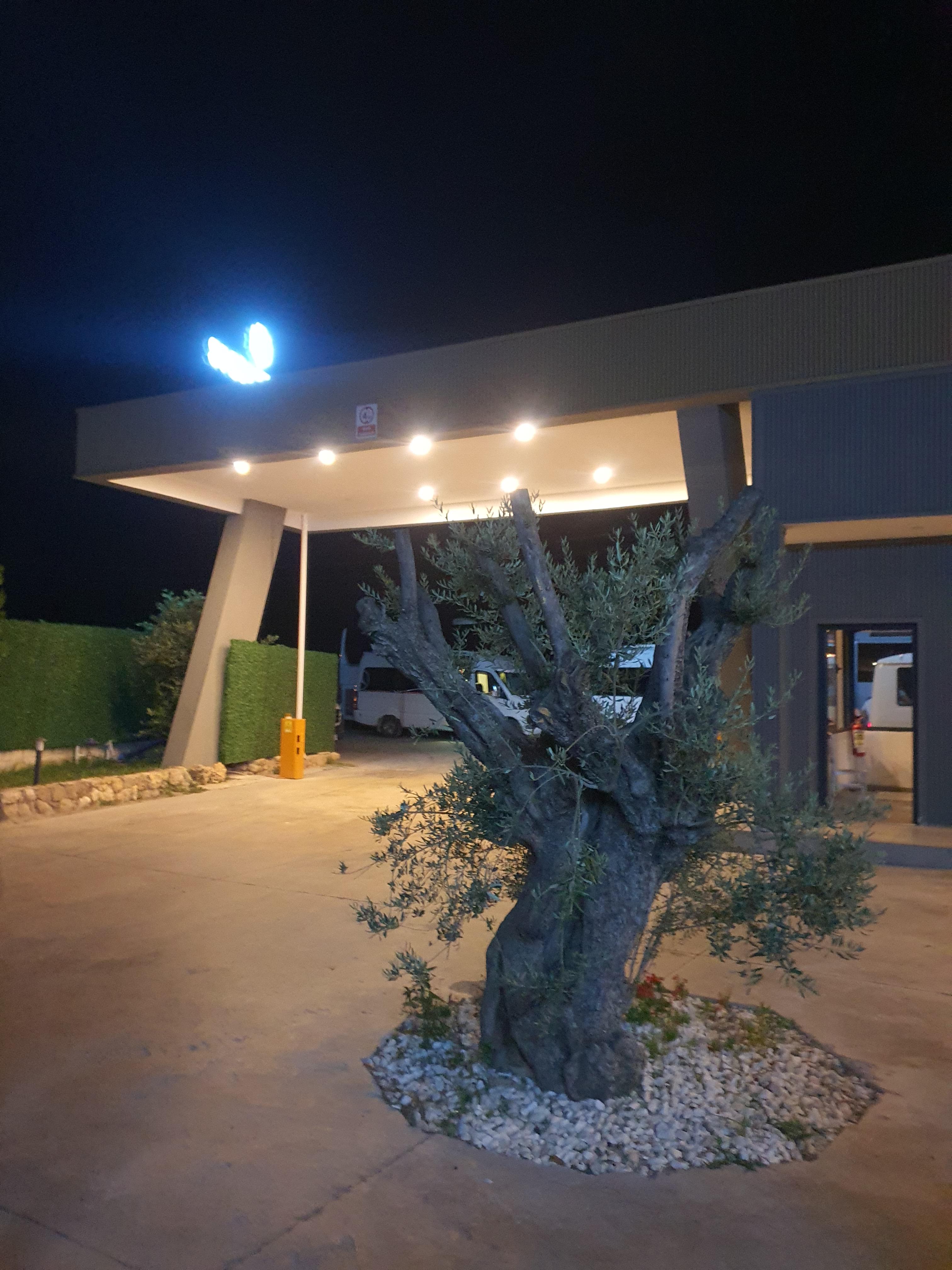 튀르키예 패키지(참좋은여행) - 5일차 파묵칼레 SİGNATURE PAMUKKALE THERMAL HOTEL