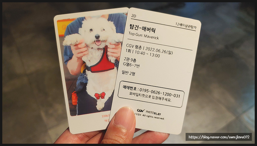 [감사] - 탑건: 매버릭