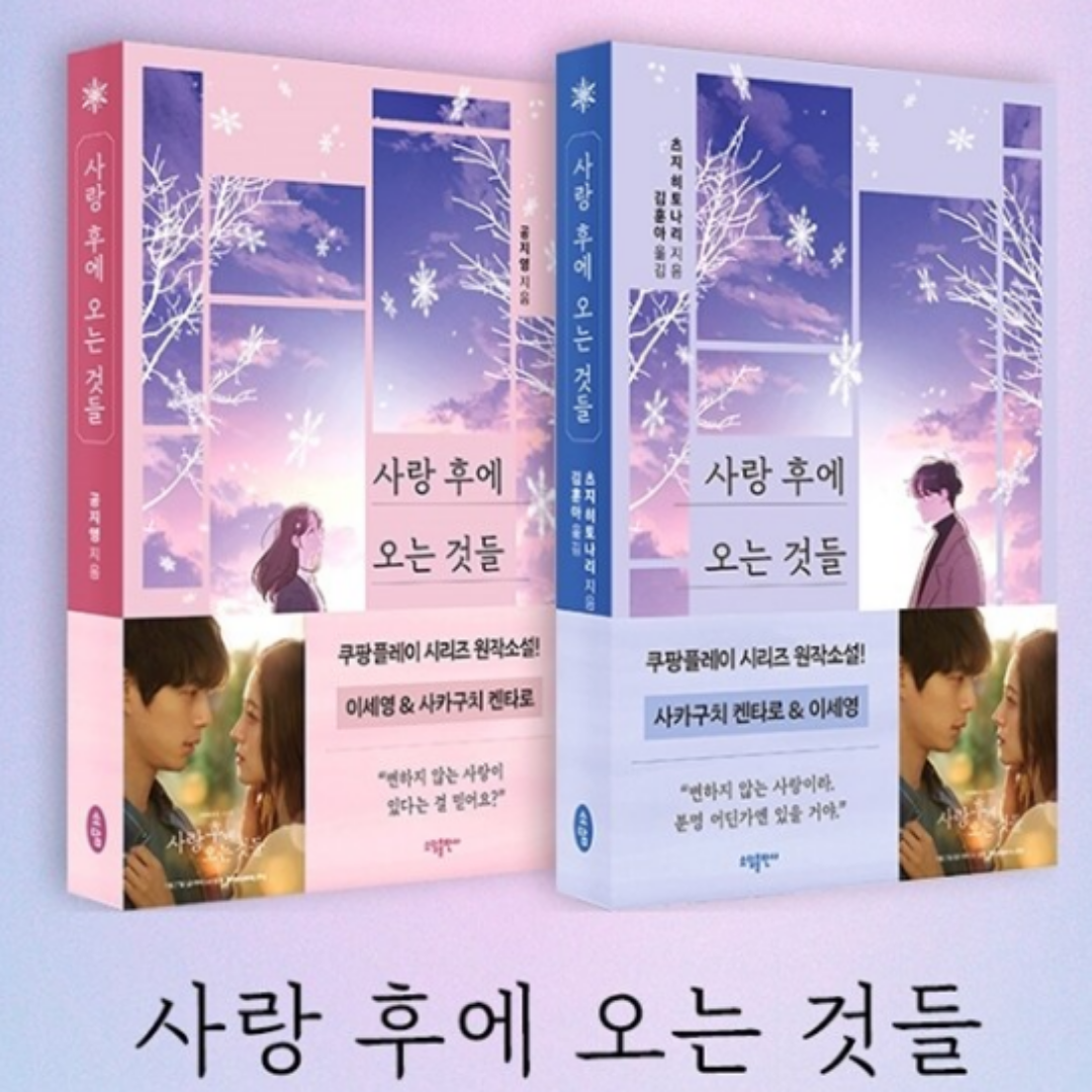 사랑한 후에 오는것들 책 후기